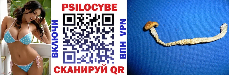 как найти наркотики  Фролово  Псилоцибиновые грибы мухоморы 